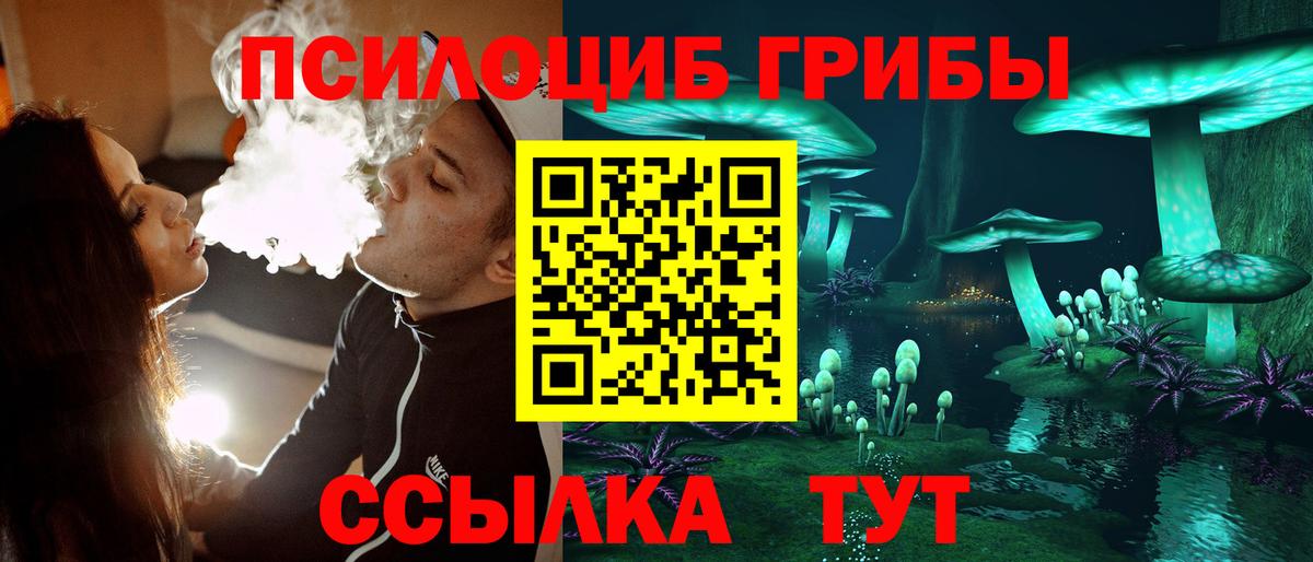 Новоалександровск  Псилоцибиновые грибы прущие грибы  Вход с VPN  Галлюциногенные грибы GOLDEN TEACHER 